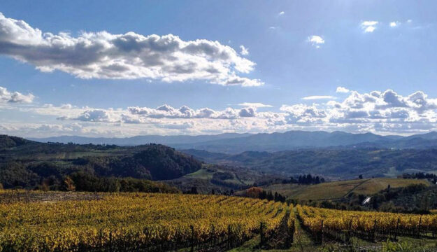 Il Consorzio Chianti Rufina entra nella “Global Artisan Vintners Alliance” (Global Ava)