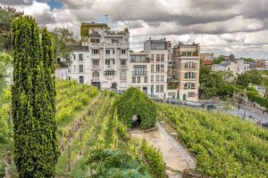 Se Bordeaux si prende “cura” dei vigneti di Parigi e del Clos Montmartre, la vigna urbana più famosa Se Bordeaux si prende “cura” dei vigneti di Parigi e del Clos Montmartre, la vigna urbana più famosa