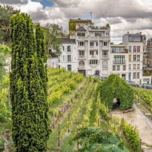 Se Bordeaux si prende “cura” dei vigneti di Parigi e del Clos Montmartre, la vigna urbana più famosa