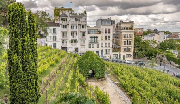 Se Bordeaux si prende “cura” dei vigneti di Parigi e del Clos Montmartre, la vigna urbana più famosa