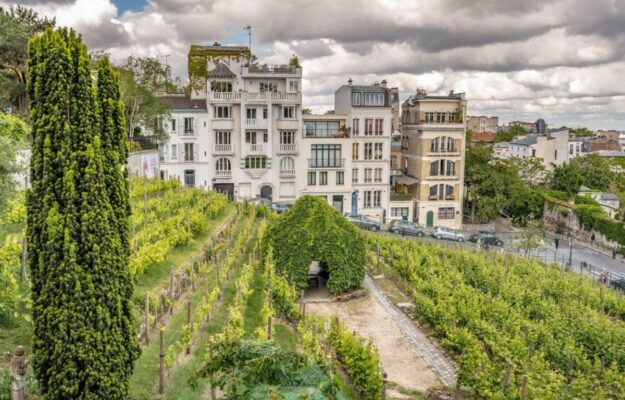 Bordeaux, CHÂTEAU MAUVINON, CLOS MONTMARTRE, FRANCIA, PARIGI, URBAN VINEYARDS ASSOCIATION, VIGNETI URBANI, Mondo