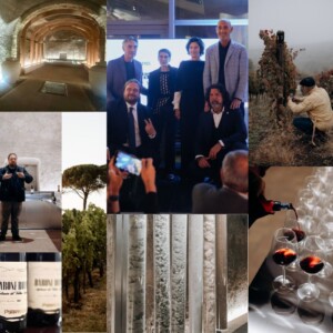 100 anni di storia, guardando al futuro: lo sviluppo di Paternoster, oggi di Tommasi Family Estates
