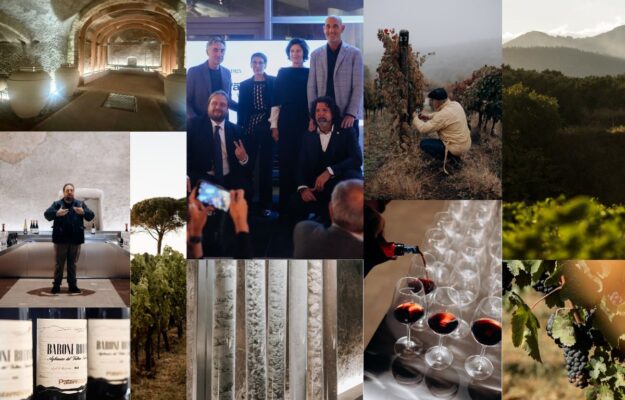AGLIANICO DEL VULTURE, PATERNOSTER, TOMMASI FAMILY ESTATES, vino, Italia
