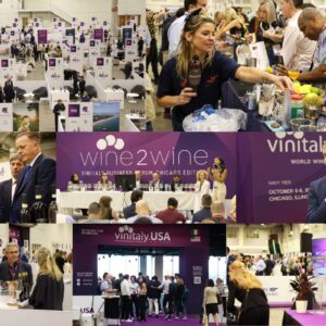 USA, Italian wine tries to look beyond tariffs: “concrete reaction” from producers and trade