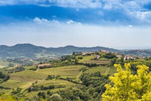 &ldquo;Collio Evolution&rdquo; 2026: il Pinot Grigio del Collio, &ldquo;lente di ingrandimento&rdquo; del terroir
