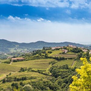 &ldquo;Collio Evolution&rdquo; 2026: il Pinot Grigio del Collio, &ldquo;lente di ingrandimento&rdquo; del terroir
