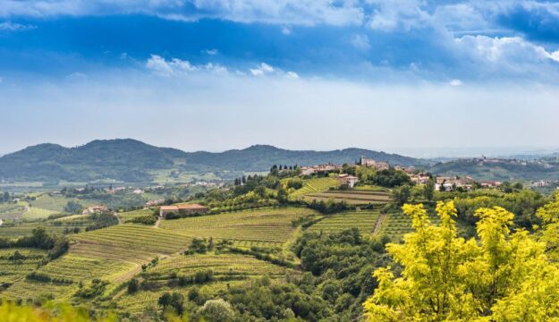 &ldquo;Collio Evolution&rdquo; 2026: il Pinot Grigio del Collio, &ldquo;lente di ingrandimento&rdquo; del terroir