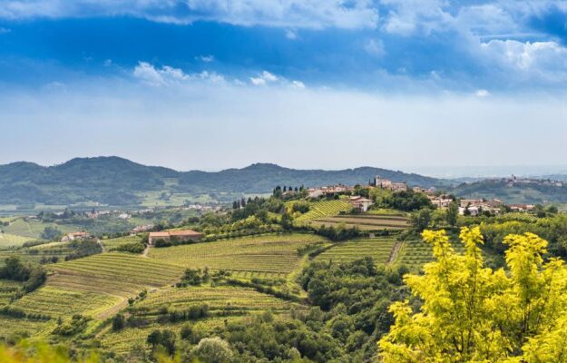 Collio Evolution 2026: Pinot Grigio of Collio, magnifying glass of the terroir