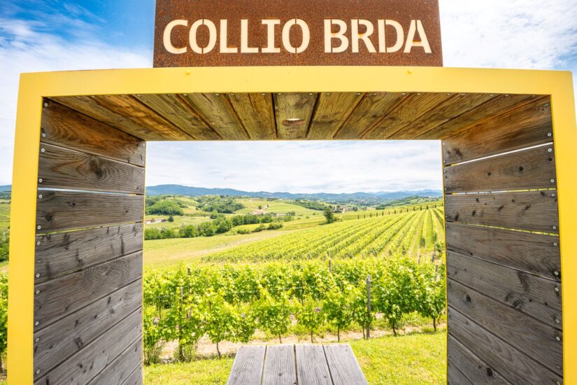 Il Collio, tra i territori bianchisti più amati dai wine lovers