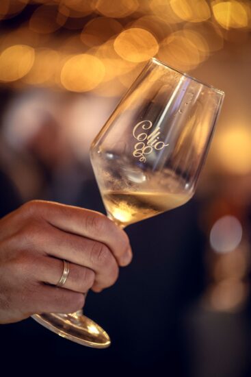 Il Collio, tra i territori bianchisti più amati dai wine lovers