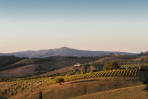 Il Montecucco dice no al parco eolico: “minaccia al paesaggio e all’economia rurale” Il Montecucco dice no al parco eolico: “minaccia al paesaggio e all’economia rurale”