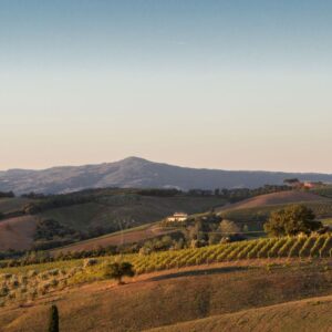 Il Montecucco dice no al parco eolico: “minaccia al paesaggio e all’economia rurale”