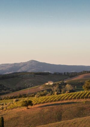 Il Montecucco dice no al parco eolico: “minaccia al paesaggio e all’economia rurale”