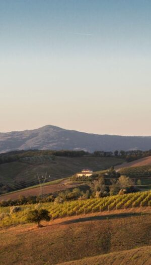 Il Montecucco dice no al parco eolico: “minaccia al paesaggio e all’economia rurale”