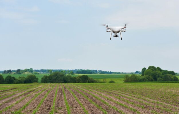 AGRICOLTURA, Coldiretti, Confagricoltura, DDL SEMPLIFICAZIONI, DRONI, SENATO, TECNOLOGIA, Non Solo Vino