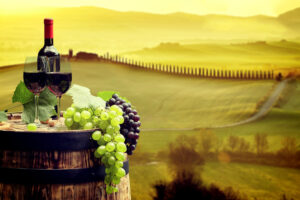 Autenticità, paesaggi e prezzi coerenti: le cantine in Toscana sono l’eccellenza dell’enoturismo