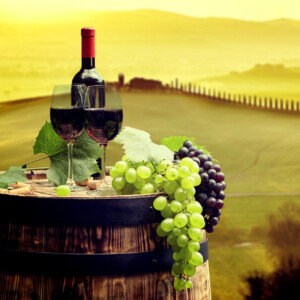 Autenticità, paesaggi e prezzi coerenti: le cantine in Toscana sono l’eccellenza dell’enoturismo