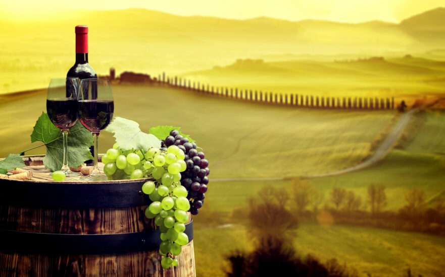 Le cantine della Toscana: case history d’eccellenza in materia di enoturismo