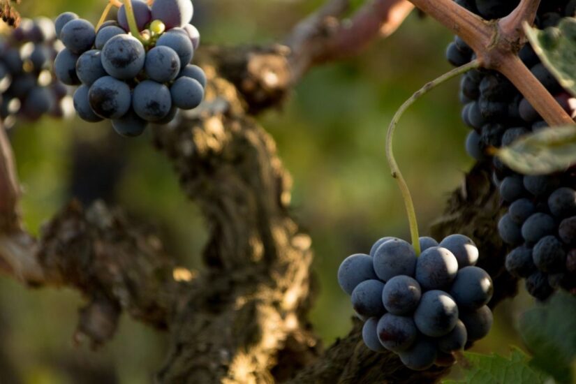 Progetto senza titolo - 2