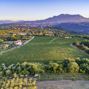 La grande finanza investe ancora nel vino made in Italy di successo, per farlo crescere