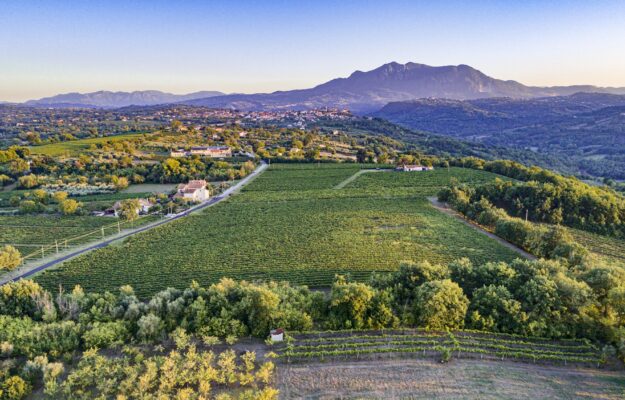 BOND, CASSA DEPOSITI E PRESTITI, FEUDI DI SAN GREGORIO, FINANZA, FININT INVESTMENTS, INVESTIMENTI, MADE IN ITALY, Italia