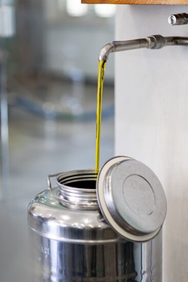 È tempo di assaggiare l’“olio novo” e fare oleoturismo nei “Frantoi Aperti in Umbria” 