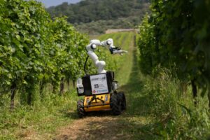Tecnologie smart tra i filari: come robot e Intelligenza Artificiale rivoluzionano il mondo del vino Tecnologie smart tra i filari: come robot e Intelligenza Artificiale rivoluzionano il mondo del vino