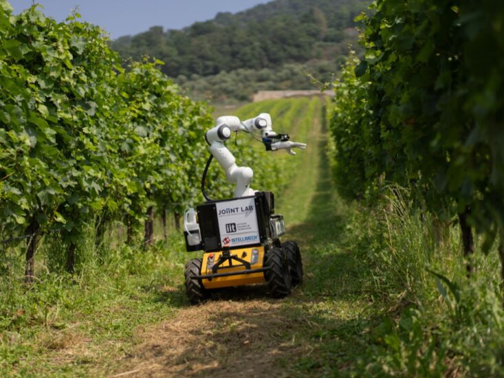 Frasky dell’Istituto Italiano di Tecnologia