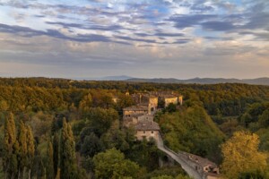La piccola denominazione Valdarno di Sopra continua a definire la sua specificit&agrave; sulla scena enoica
