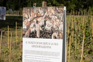 Nasce un nuovo vigneto urbano a Roma: la Città Eterna celebra il suo legame con il vino Nasce un nuovo vigneto urbano a Roma: la Città Eterna celebra il suo legame con il vino