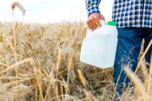 Il 99% dei campi di grano in Europa è contaminato da pesticidi, compresi quelli biologici Il 99% dei campi di grano in Europa è contaminato da pesticidi, compresi quelli biologici