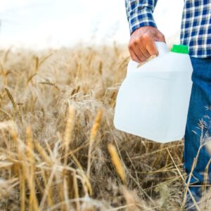 Il 99% dei campi di grano in Europa è contaminato da pesticidi, compresi quelli biologici