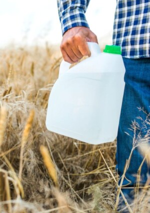 Il 99% dei campi di grano in Europa è contaminato da pesticidi, compresi quelli biologici