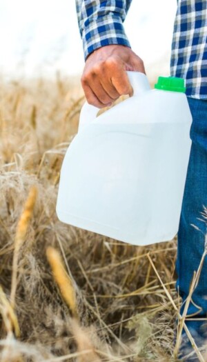 Il 99% dei campi di grano in Europa è contaminato da pesticidi, compresi quelli biologici