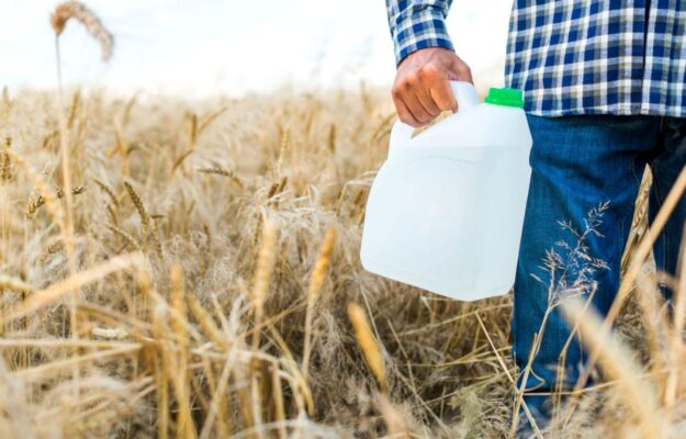 Il 99% dei campi di grano in Europa è contaminato da pesticidi, compresi quelli biologici CAMPI DI GRANO, CONTAMINAZIONE, GRANO, PESTICIDI, UE, UNIVERSITÀ DI VIGO, Non Solo Vino
