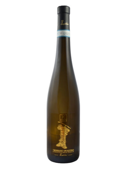 LE CIMATE, SPOLETO, TREBBIANO, Su i Vini di WineNews