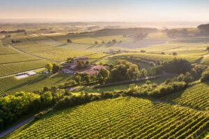 Lvmh, continua la ripresa della divisione “Champagne & Wine”: +3% nei primi 9 mesi 2025 Lvmh, continua la ripresa della divisione “Champagne & Wine”: +3% nei primi 9 mesi 2025