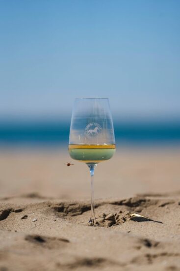 A “mareMMMa, la Natura del vino” a Firenze, i Consorzi della Maremma Toscana, del Montecucco e del Morellino di Scansano si raccontano insieme