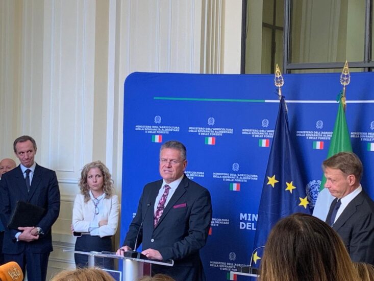 Il Commissario Šefčovič 