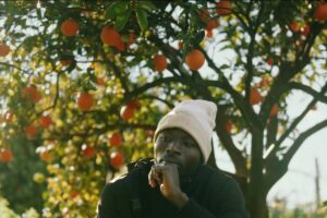 Il “costo umano” della frutta e verdura delle nostre tavole nel documentario “Meet the Pickers”