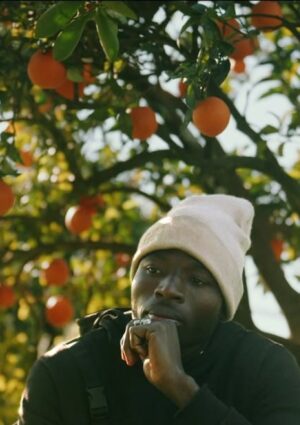 Il “costo umano” della frutta e verdura delle nostre tavole nel documentario “Meet the Pickers”