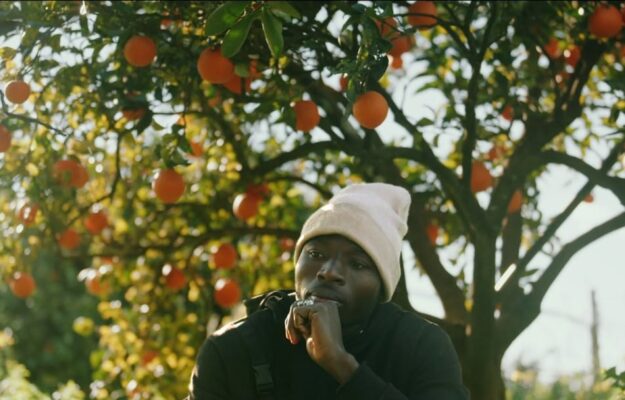 AGRICOLTURA, BRACCIANTI, CAPORALATO, LAVORO NERO, MIGRANTI, SALARI, SFRUTTAMENTO, WWF, Non Solo Vino