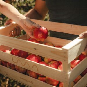 Coop e Origin Italia fanno squadra per rafforzare e valorizzare l&rsquo;ortofrutta italiana Dop e Igp