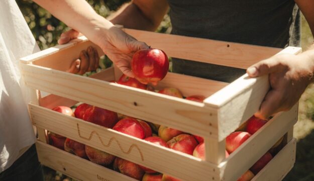 Coop e Origin Italia fanno squadra per rafforzare e valorizzare l&rsquo;ortofrutta italiana Dop e Igp