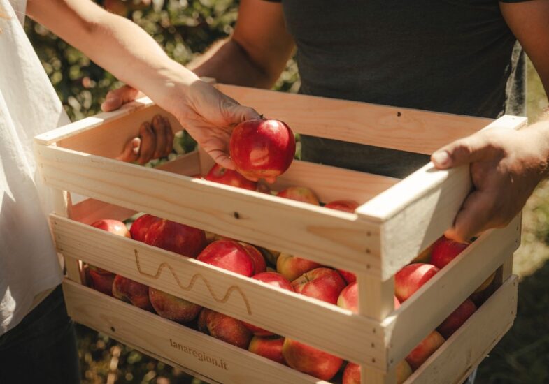 Vini, mele e Speck dell’Alto Adige, tanti eventi dedicati ai sapori autunnali del territorio (ph: Dominic Telser)