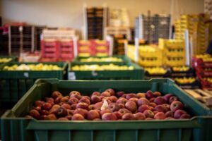 L’ortofrutta, leader nei mercati all’ingrosso, vale il 20% del carrello della spesa in Italia L’ortofrutta, leader nei mercati all’ingrosso, vale il 20% del carrello della spesa in Italia
