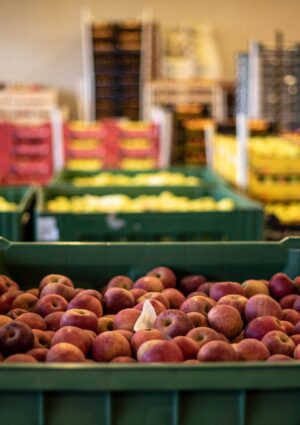 L’ortofrutta, leader nei mercati all’ingrosso, vale il 20% del carrello della spesa in Italia