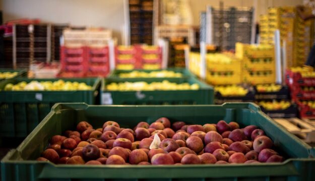 L’ortofrutta, leader nei mercati all’ingrosso, vale il 20% del carrello della spesa in Italia