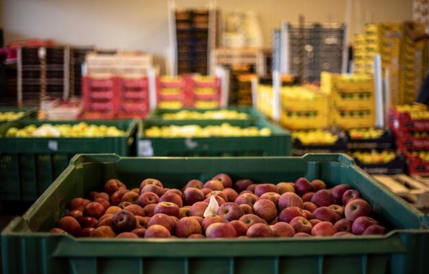 AGROALIMENTARE ITALIANO, CARELLO DELLA SPESA, CENSIS, GDO, ISMEA, ITALIANI, ITALMERCATI, MERCATI ALL'INGROSSO, ORTOFRUTTA, Non Solo Vino