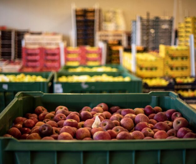 L’ortofrutta, leader nei mercati all’ingrosso, vale il 20% del carrello della spesa in Italia